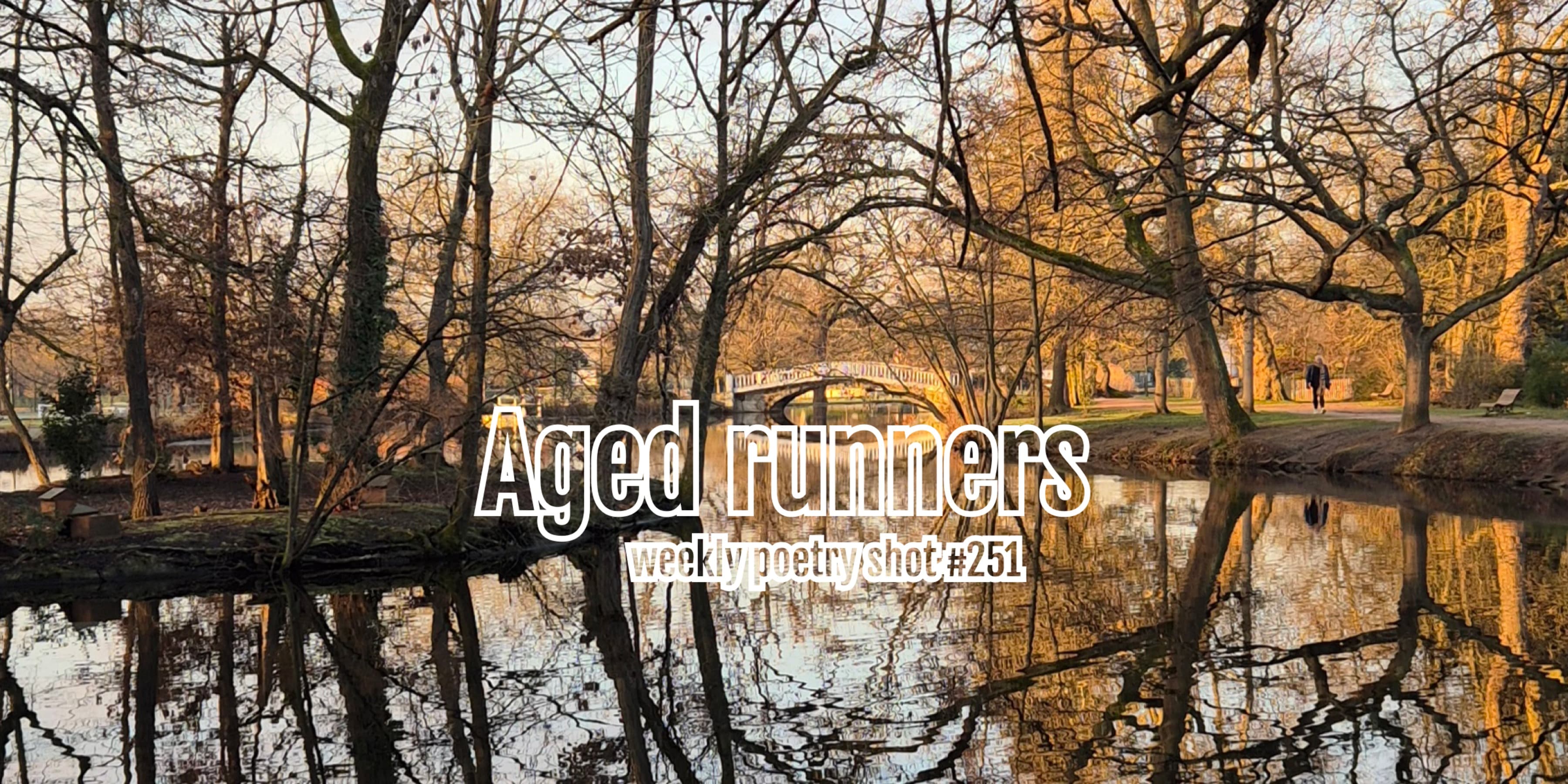 Discover card cover image