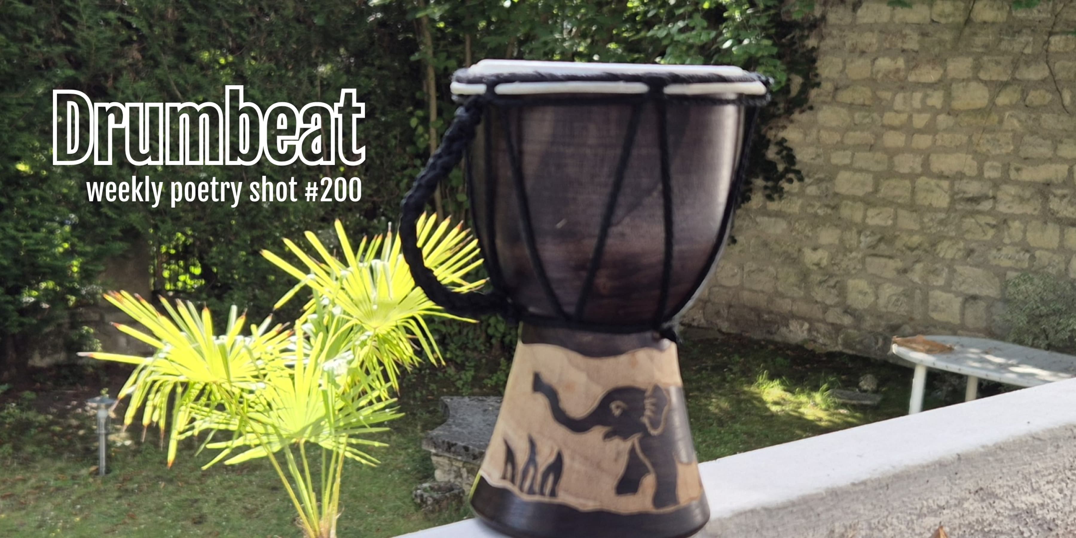 Discover card cover image