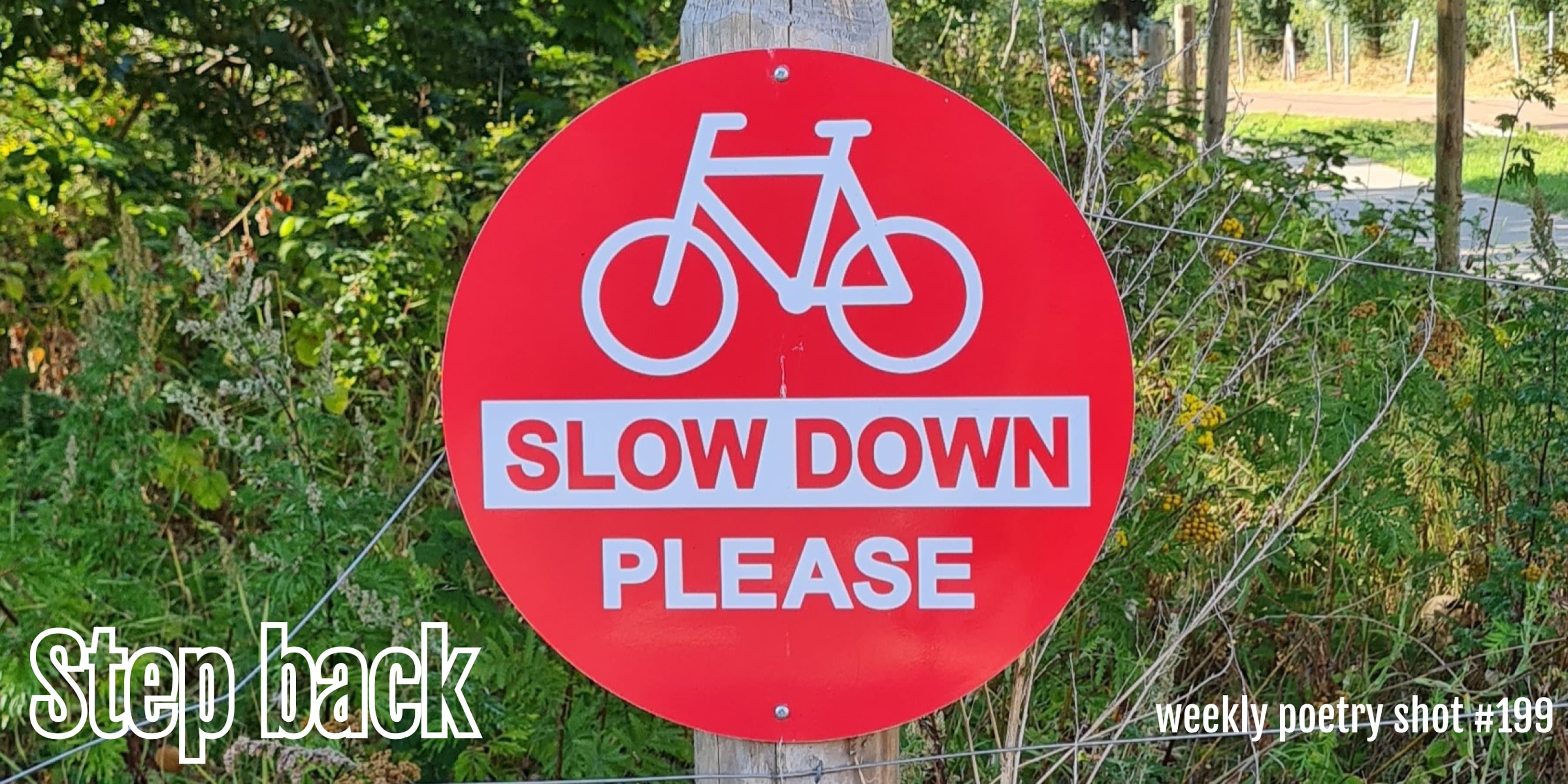 Discover card cover image