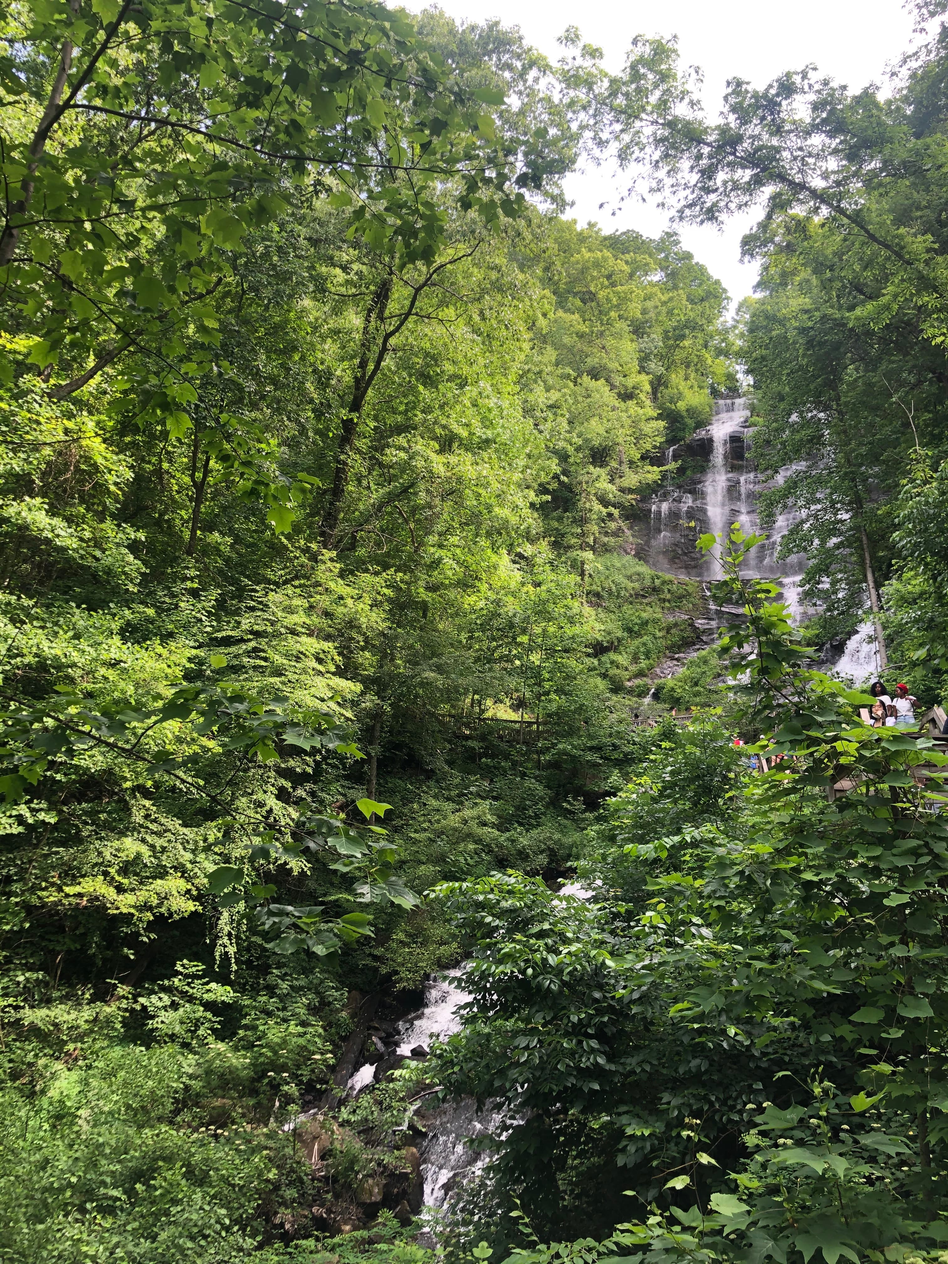 Discover card cover image