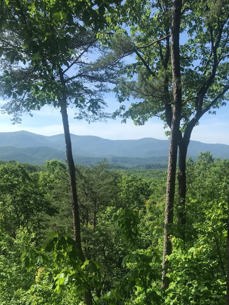 Discover card cover image