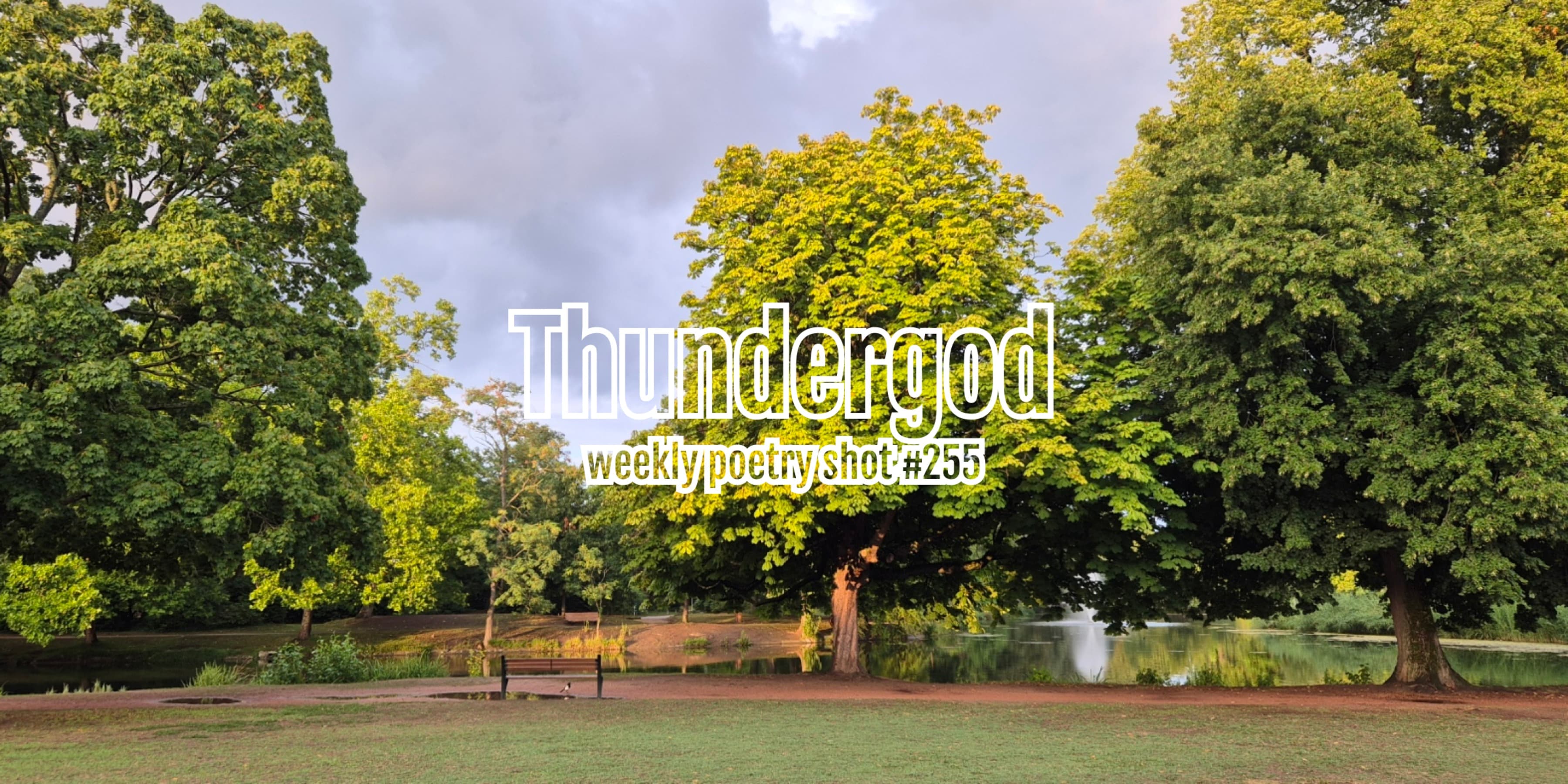 Discover card cover image