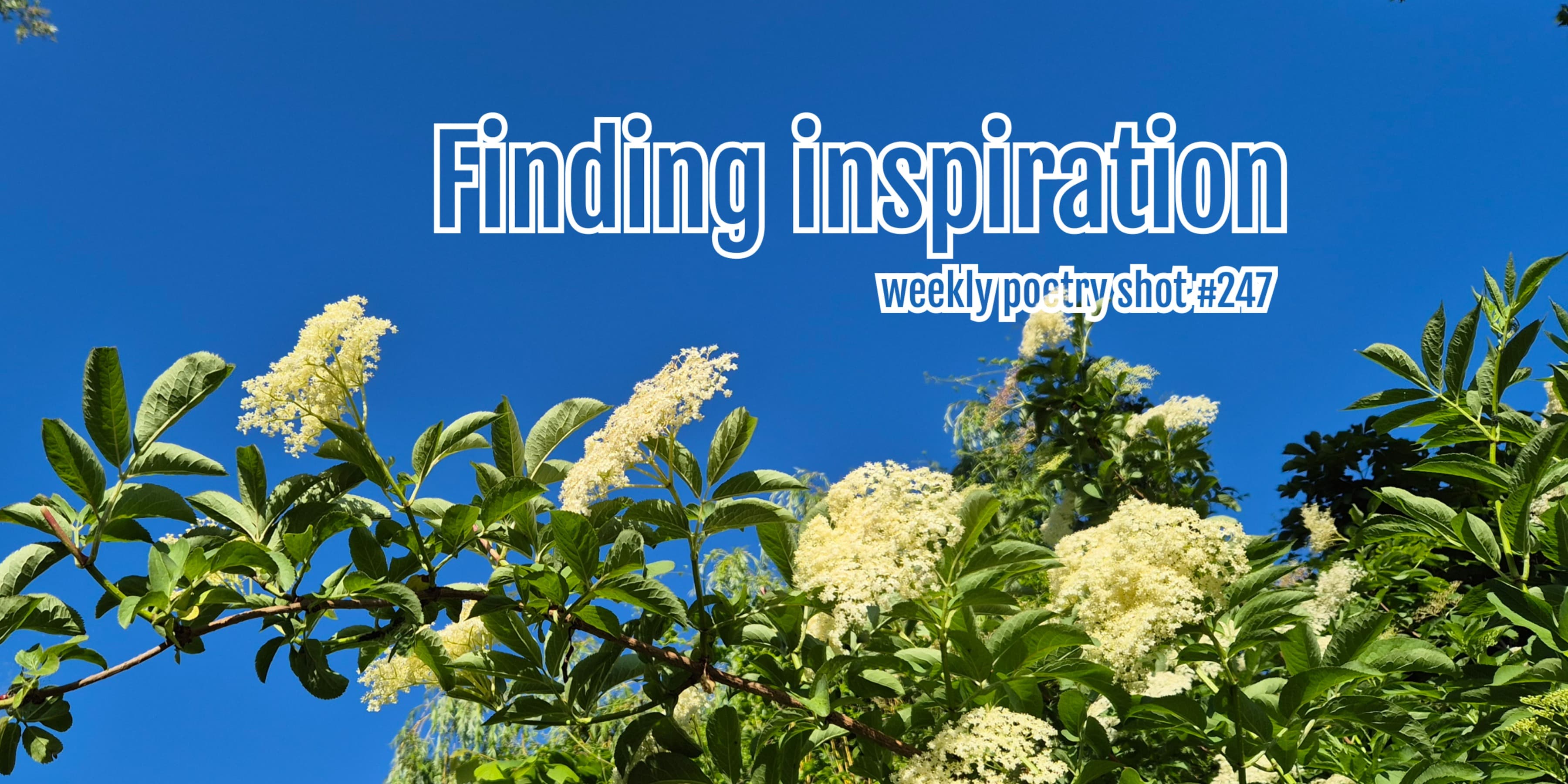 Discover card cover image