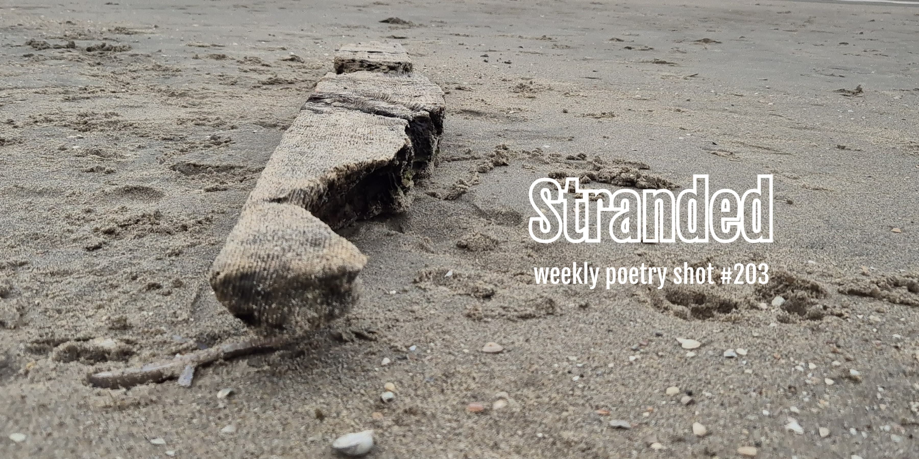 Discover card cover image