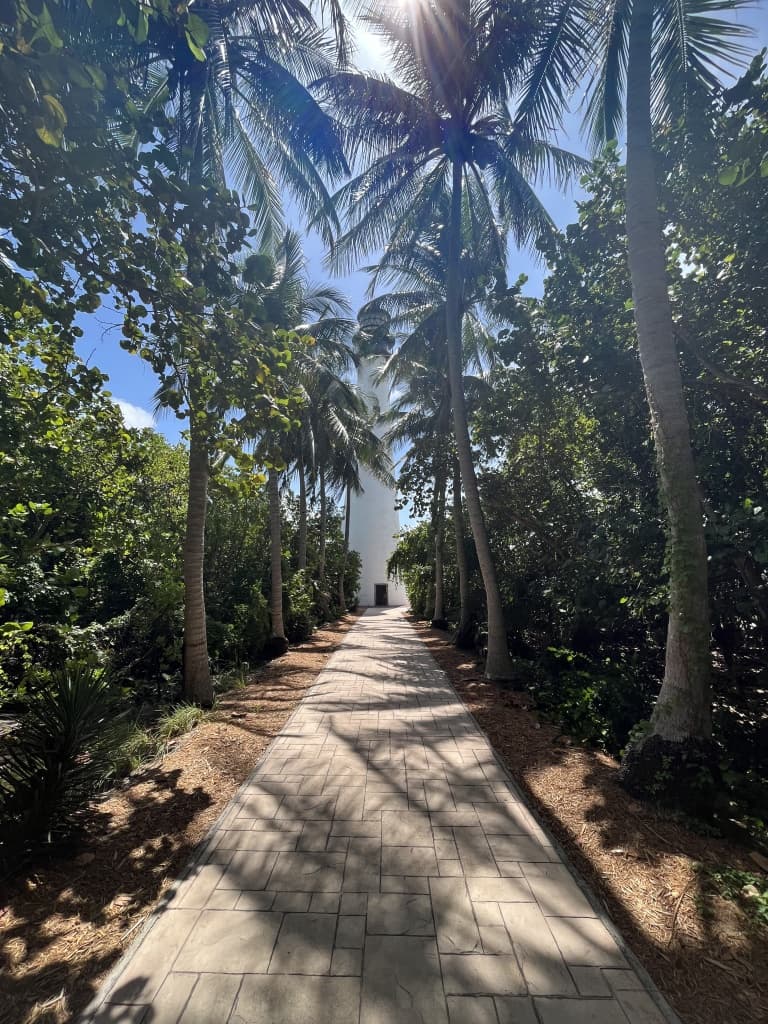 Discover card cover image