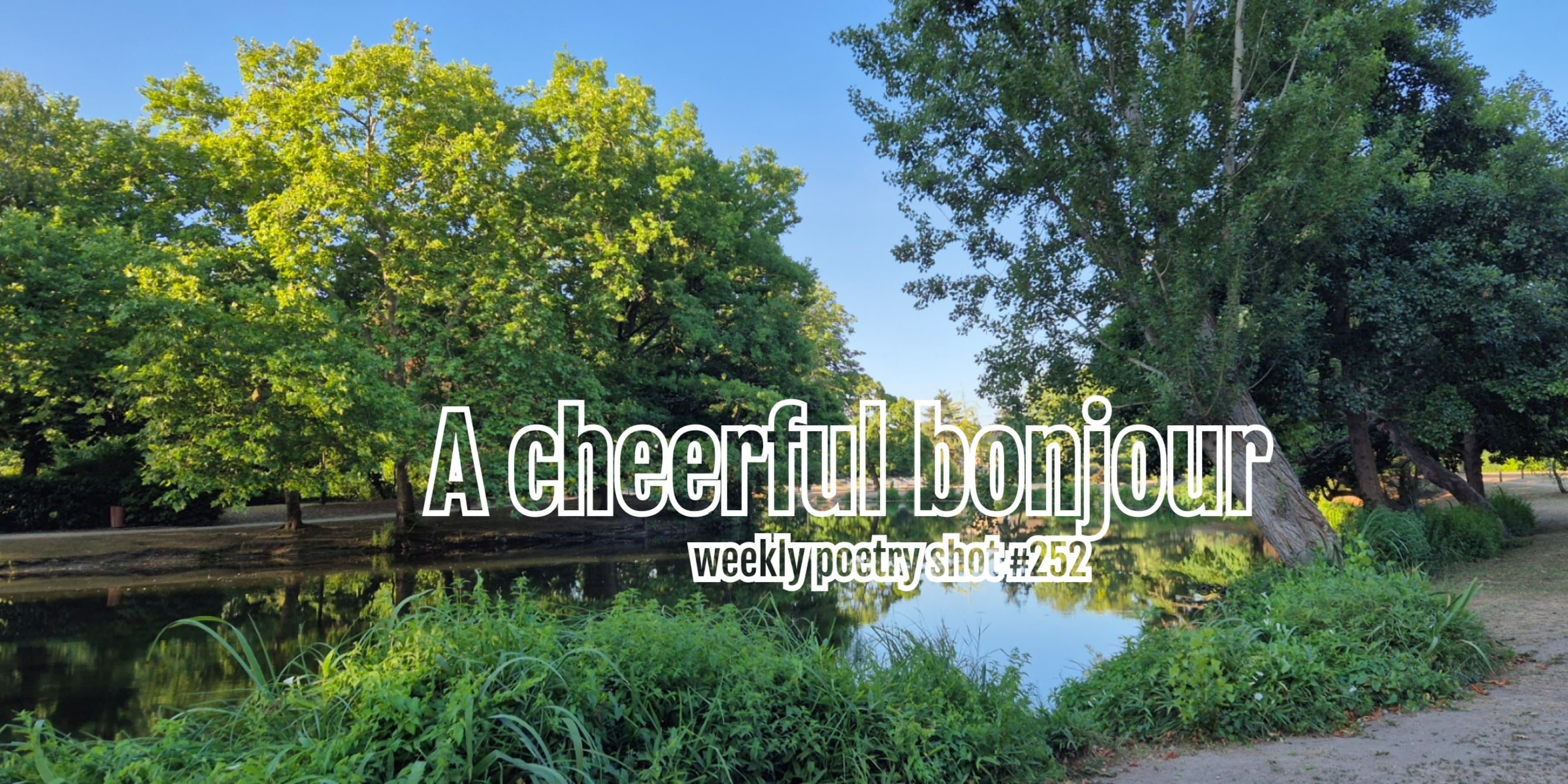 Discover card cover image