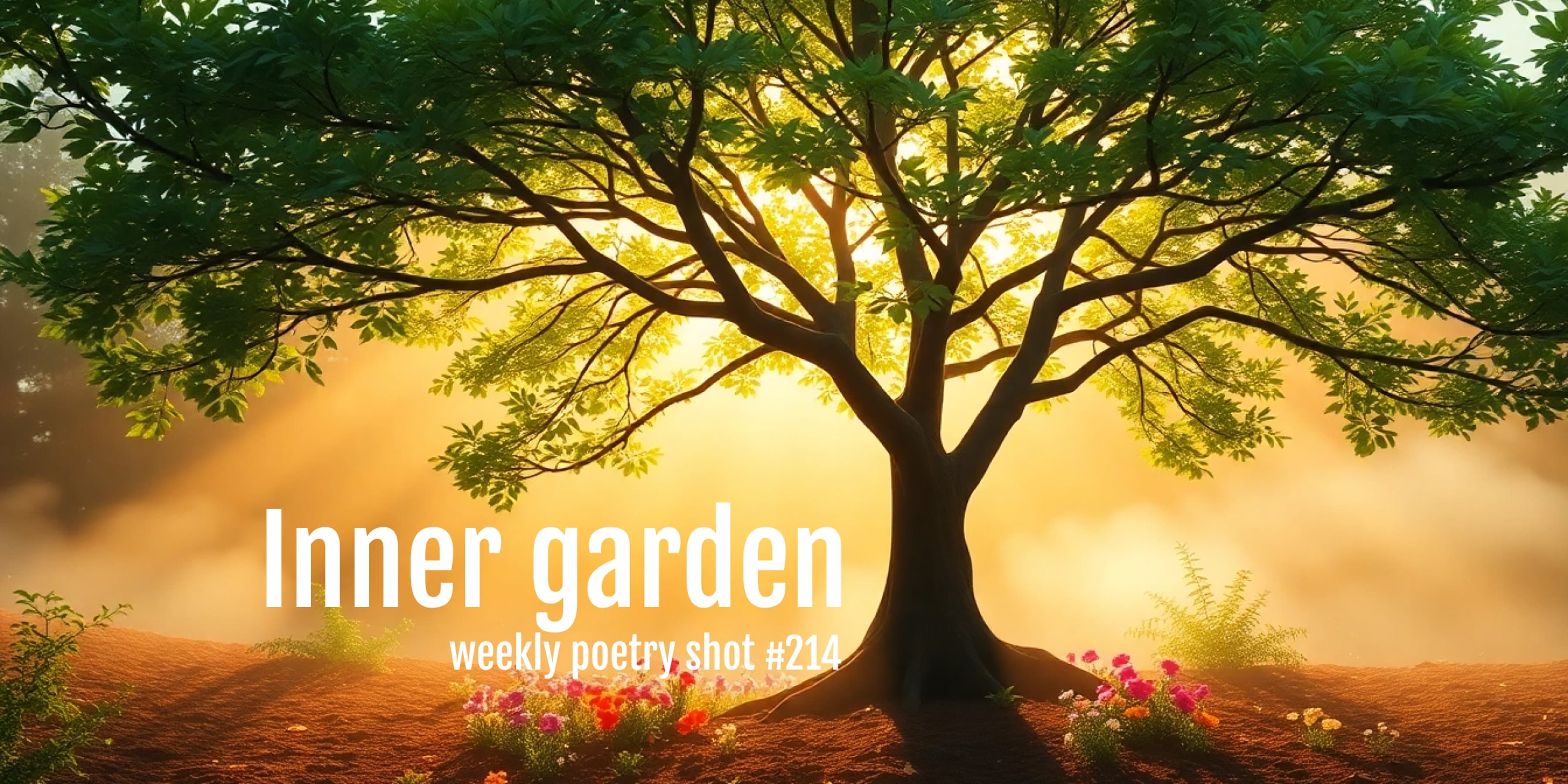 Discover card cover image