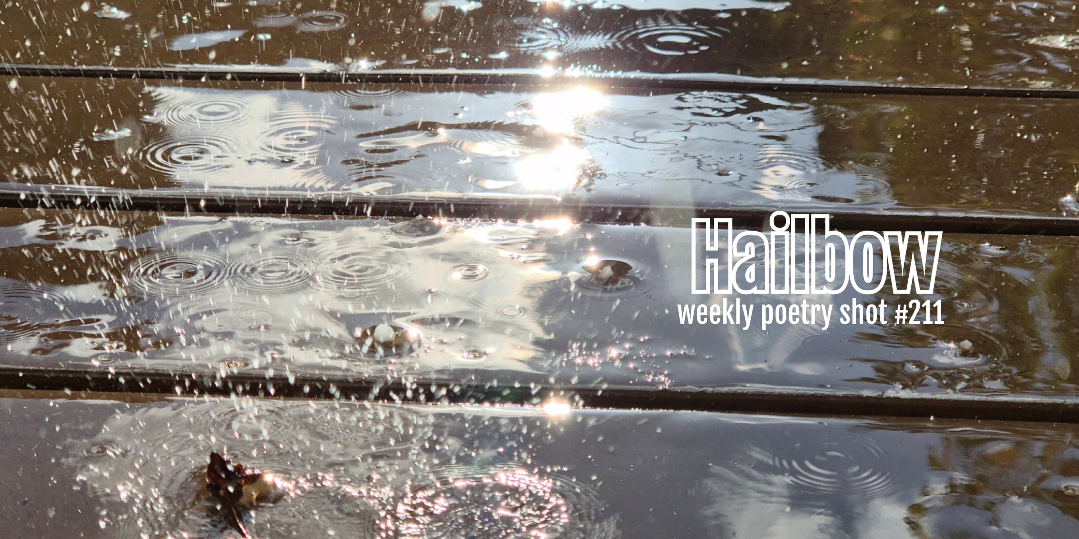 Discover card cover image