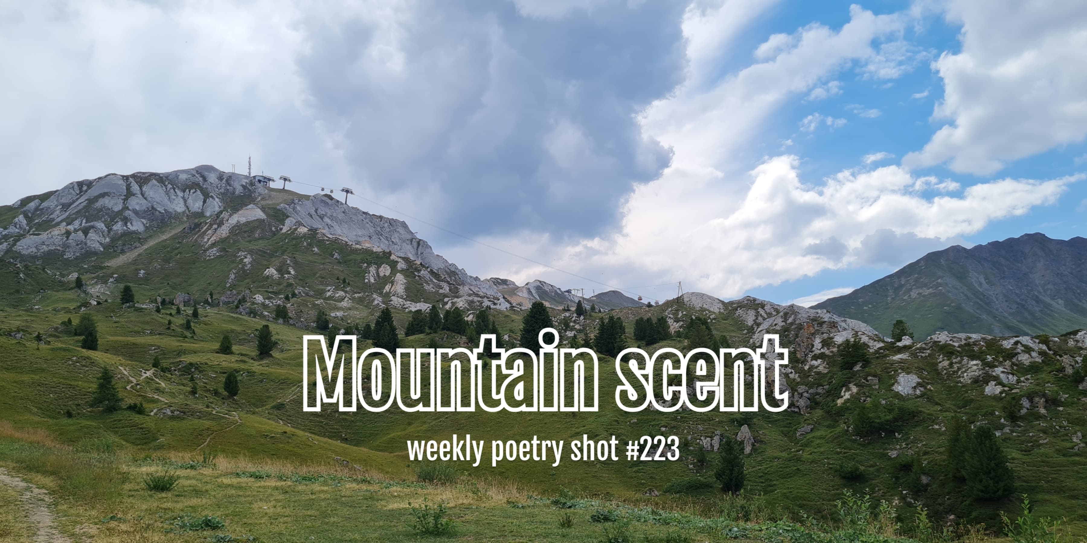 Discover card cover image